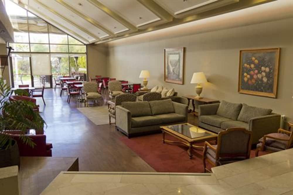 Hotel Director Vitacura Santiago du Chili Extérieur photo